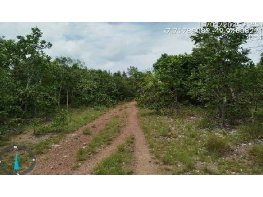 Imagem 4 do Leilão de Área Rural - Zona Rural - Pau D'arco/PA