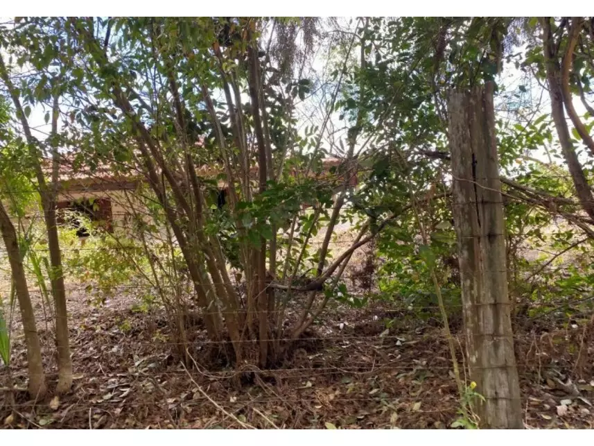 Sítio à venda em leilão - leilão judicial - Ibiúna SP - lance mínimo R$ 395.072