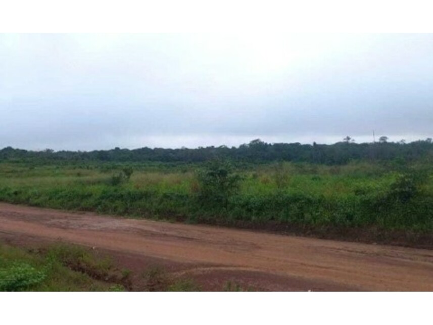 Imagem 2 do Leilão de Terreno - Monte Alegre - Mocajuba/PA