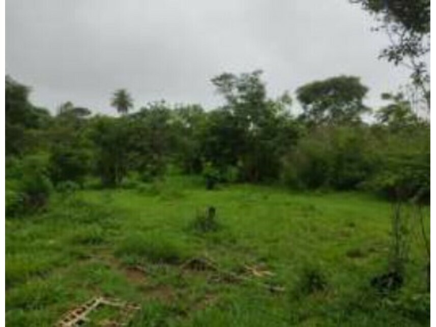 Imagem 13 do Leilão de Terrenos - Chácaras Saia Velha - Cidade Ocidental/GO