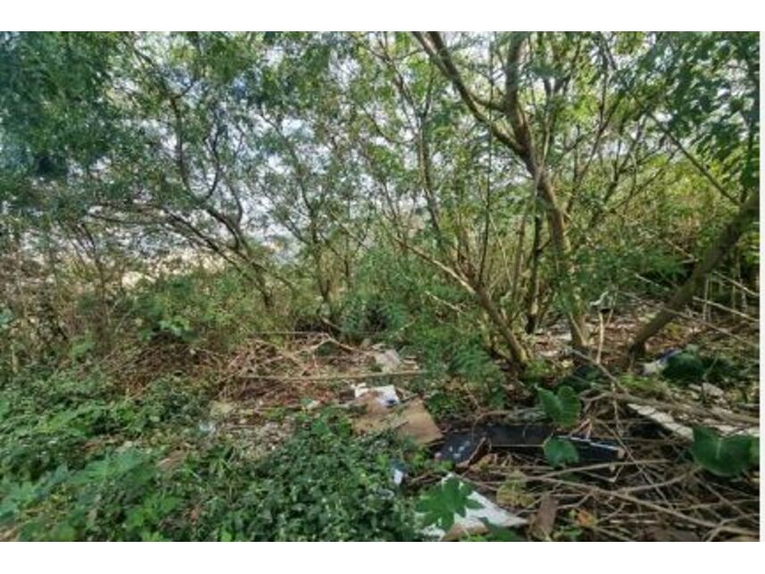 Imagem 4 do Leilão de Terreno - Pirituba - São Paulo/SP