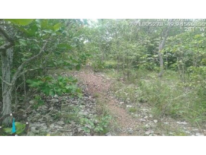 Imagem 3 do Leilão de Área Rural - Zona Rural - Pau D'arco/PA
