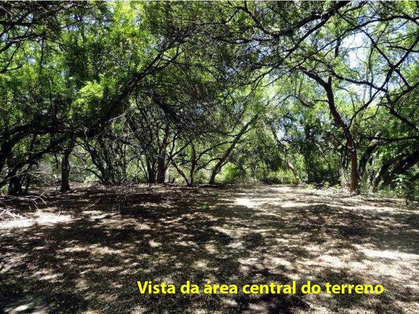 Imagem 1 do Leilão de Terreno - Santo Amaro - Recife/PE