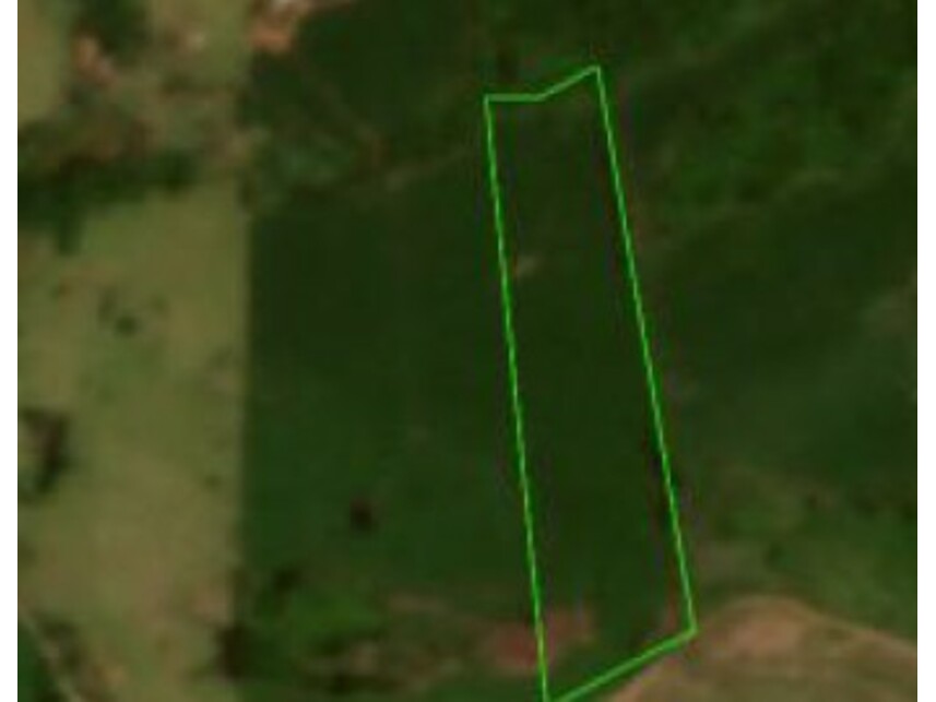 Imagem 1 do Leilão de Gleba Rural - Rural - Nova Tebas/PR