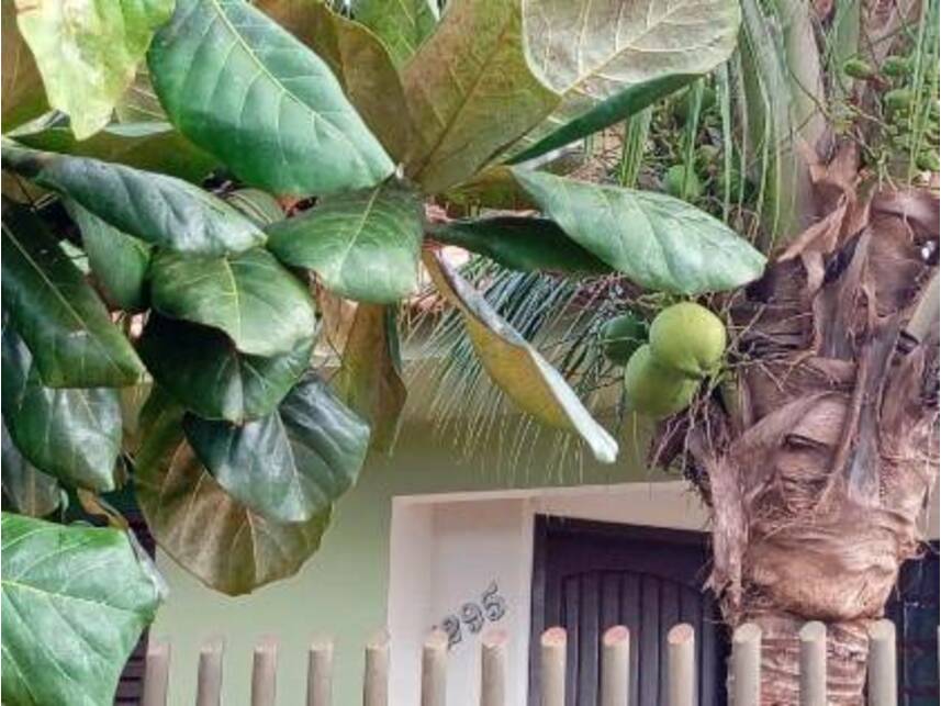 Imagem 5 do Leilão de Casa - Jardim América - Assis Chateaubriand/PR