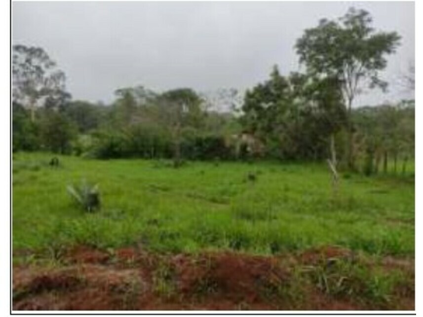Imagem 11 do Leilão de Terrenos - Chácaras Saia Velha - Cidade Ocidental/GO