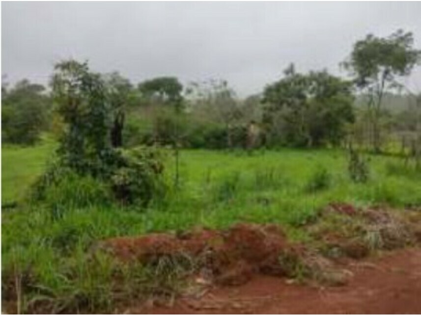 Imagem 9 do Leilão de Terrenos - Chácaras Saia Velha - Cidade Ocidental/GO