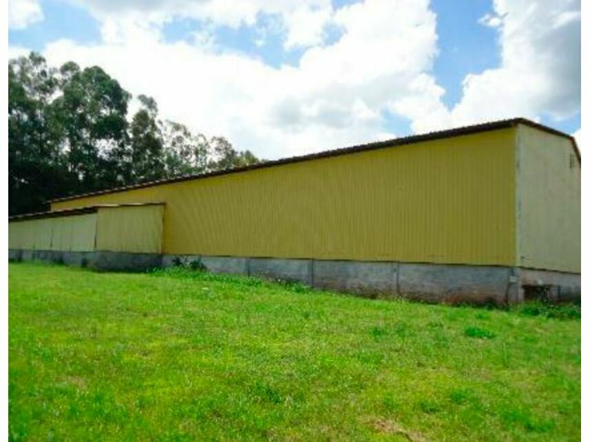 Imagem 4 do Leilão de Galpão Industrial - Trevo Rodoviário - Santo Anastácio/SP