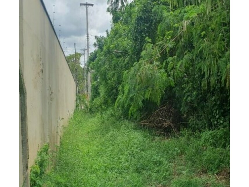 Imagem 3 do Leilão de Terreno - Jardim Palmares I - Saltinho/SP