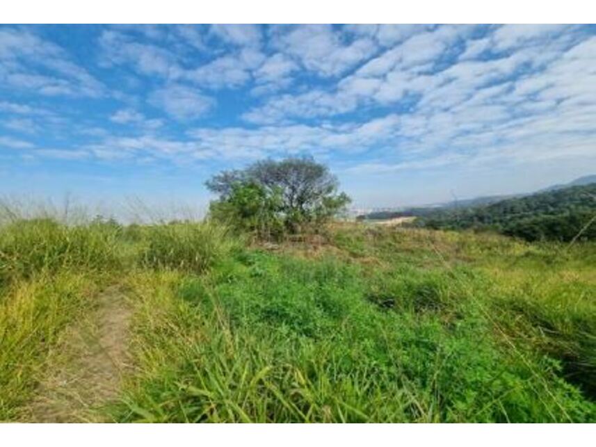 Imagem 6 do Leilão de Terreno - Pirituba - São Paulo/SP