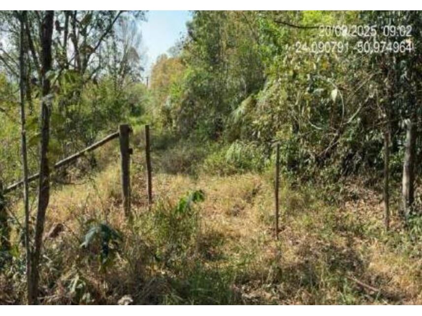 Área Rural à venda em leilão, localizado em Ortigueira - PR