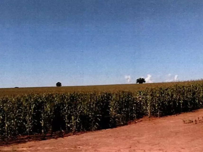Imagem 7 do Leilão de Área Rural - Zona Rural - Itararé/SP