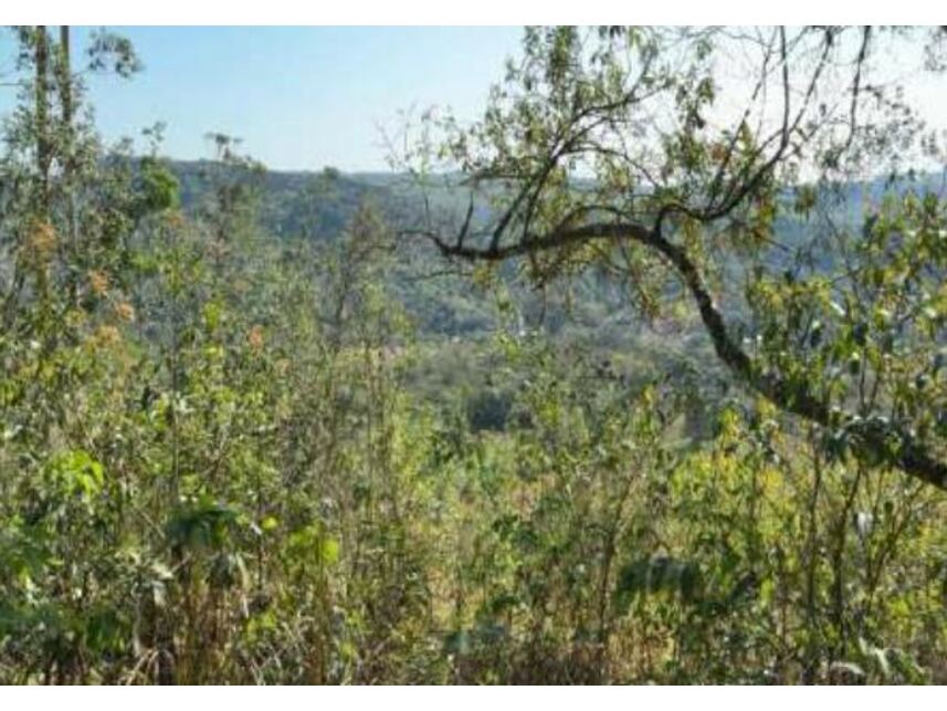 Área Rural à venda em leilão, localizado em Ortigueira - PR