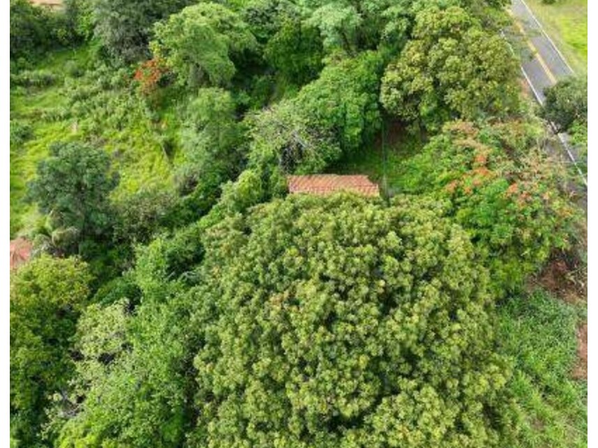 Imagem 5 do Leilão de Casa - Parque Santa Cecília - Piracicaba/SP
