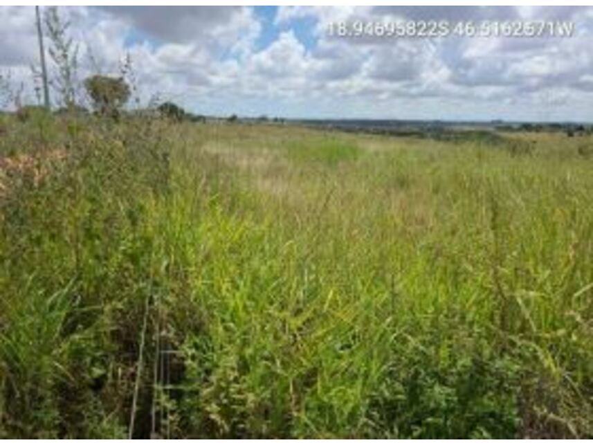 Imagem 3 do Leilão de Área Rural - Zona Rural - Serra do Salitre/MG