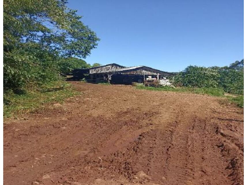 Imagem 11 do Leilão de Área Rural - Zona Rural - Mondaí/SC