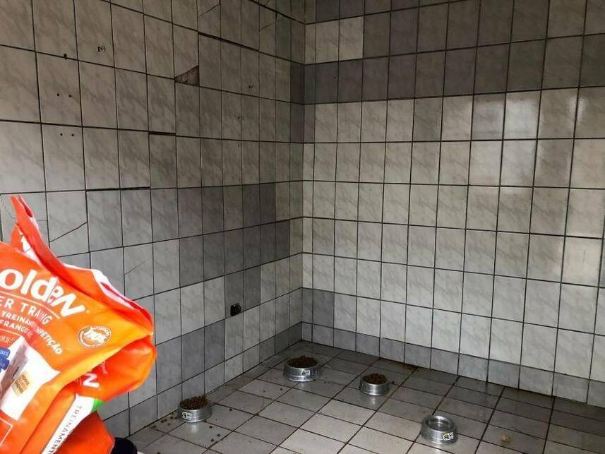 Imagem 20 do Leilão de Casa - Parque Residencial Alvorada - Londrina/PR