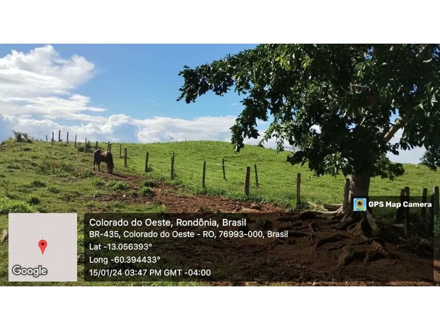 Imagem 5 do Leilão de Sítio - Zona Rural - Colorado do Oeste/RO