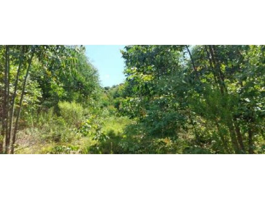 Imagem 1 do Leilão de Área Rural - Zona Rural - Vila Maria/RS