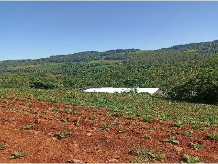 Área Rural à venda em leilão - leilão extrajudicial - Mondaí SC - lance mínimo R$ 333.000