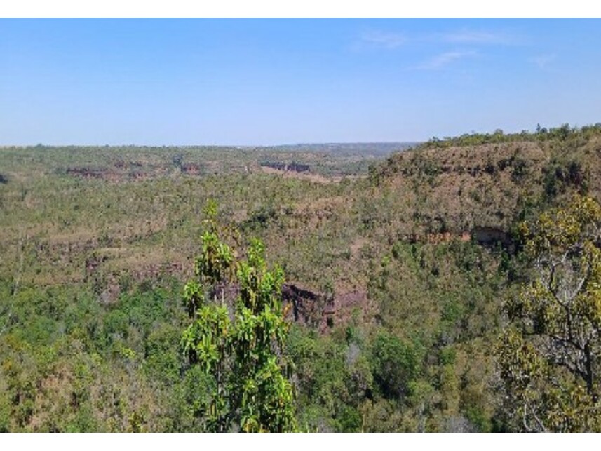 Imagem 3 do Leilão de Área Rural - Zona Rural - Campos Lindos/TO