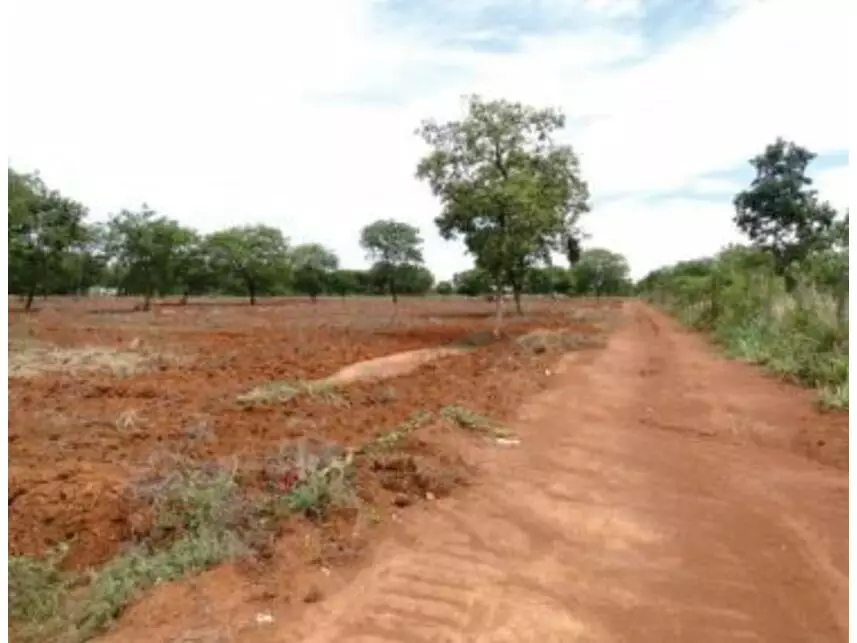Terrenos à venda em leilão - leilão extrajudicial - Montes Claros MG - lance mínimo R$ 34.582.465