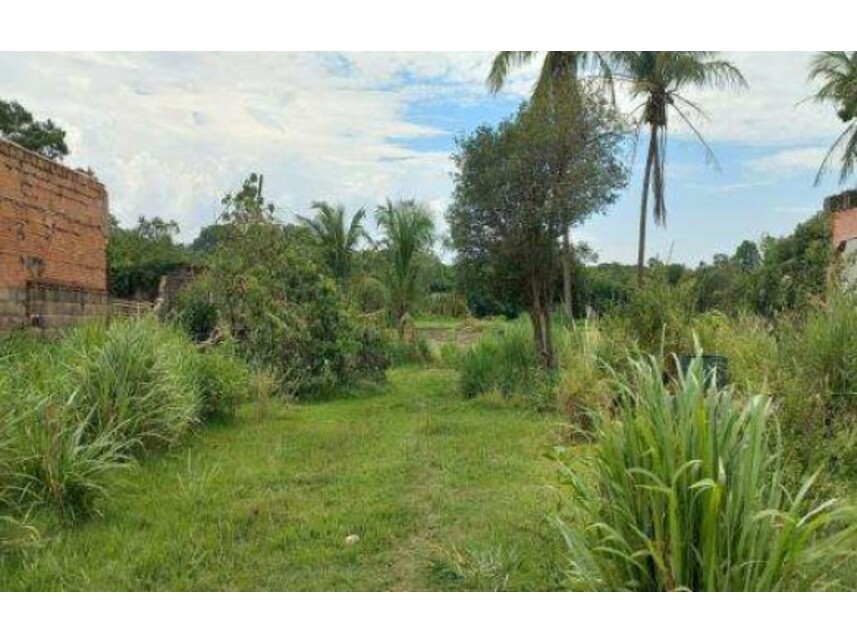 Imagem 4 do Leilão de Terreno c/benfeitorias - Bairro das Palmeiras - Ribeirão Preto/SP