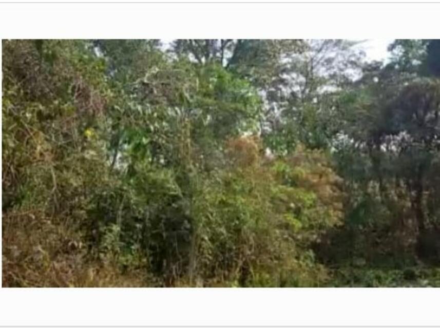 Imagem 2 do Leilão de Terreno - Loteamento Residencial Fazenda São José - Valinhos/SP