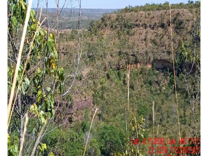 Imagem 2 do Leilão de Área Rural - Zona Rural - Campos Lindos/TO