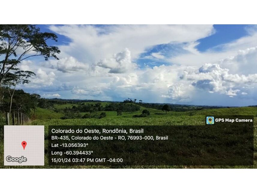 Imagem 4 do Leilão de Sítio - Zona Rural - Colorado do Oeste/RO