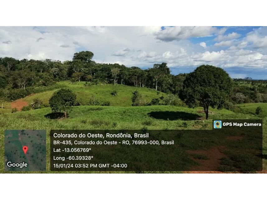 Imagem 3 do Leilão de Sítio - Zona Rural - Colorado do Oeste/RO