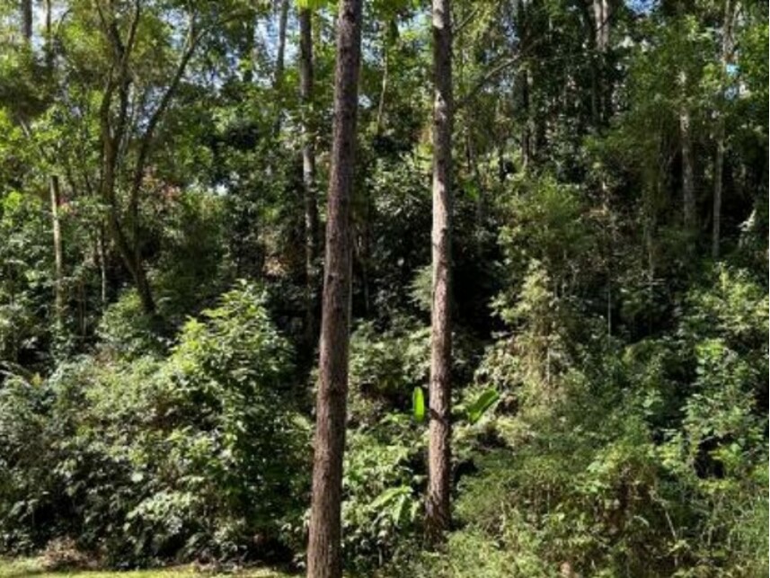 Imagem 13 do Leilão de Terreno - Itaqui - Itapevi/SP