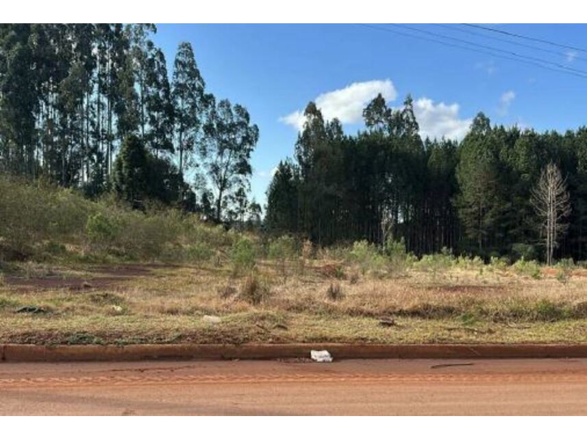 Imagem 3 do Leilão de Terreno - Santo Antônio - Santa Maria do Oeste/PR