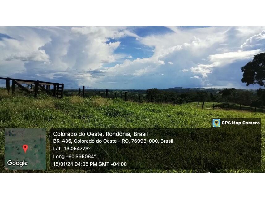 Imagem 12 do Leilão de Sítio - Zona Rural - Colorado do Oeste/RO