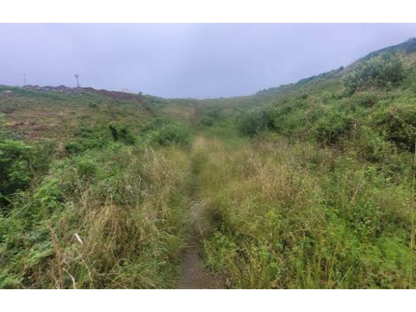 Imagem 2 do Leilão de Terrenos - Loteamento Araruna Ii - Timbaúba/PE