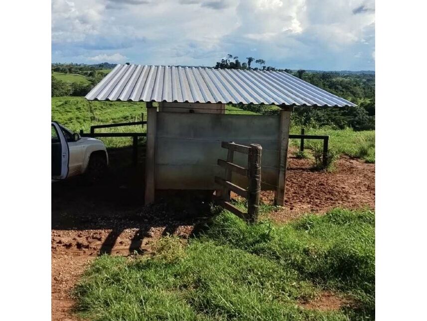 Imagem 6 do Leilão de Sítio - Zona Rural - Colorado do Oeste/RO