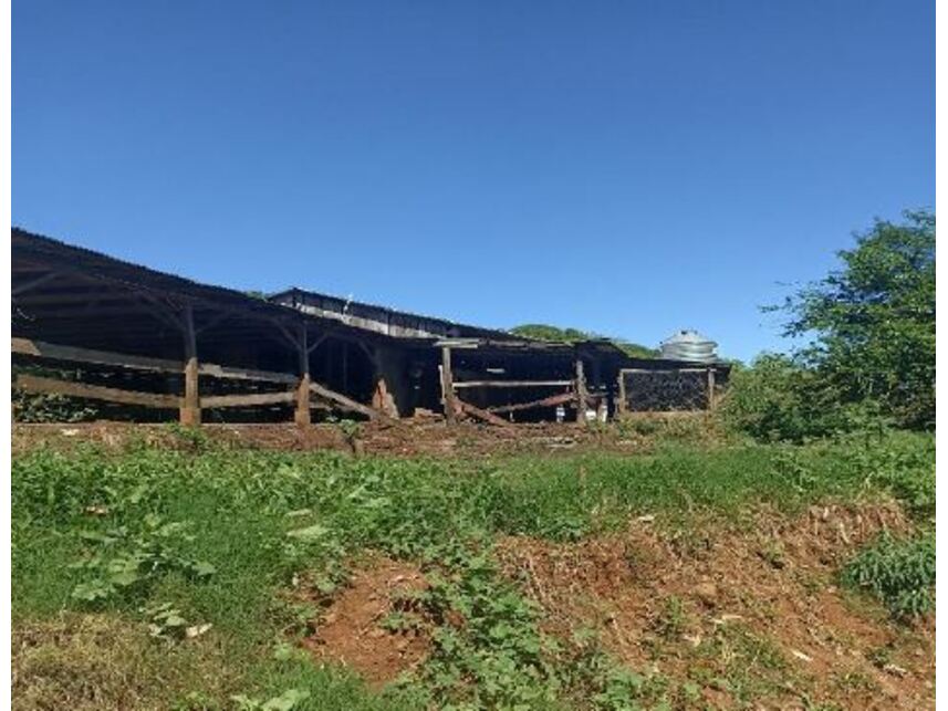 Imagem 10 do Leilão de Área Rural - Zona Rural - Mondaí/SC