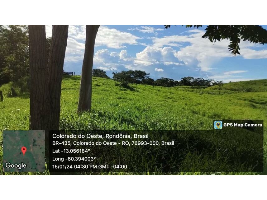 Imagem 24 do Leilão de Sítio - Zona Rural - Colorado do Oeste/RO