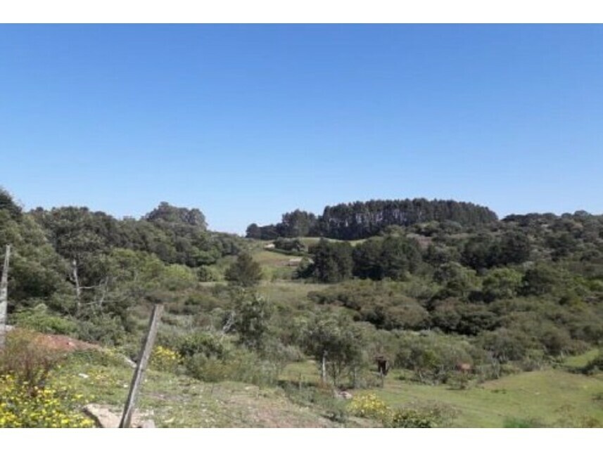 Imagem  do Leilão de Terreno - Serrano - Caxias do Sul/RS