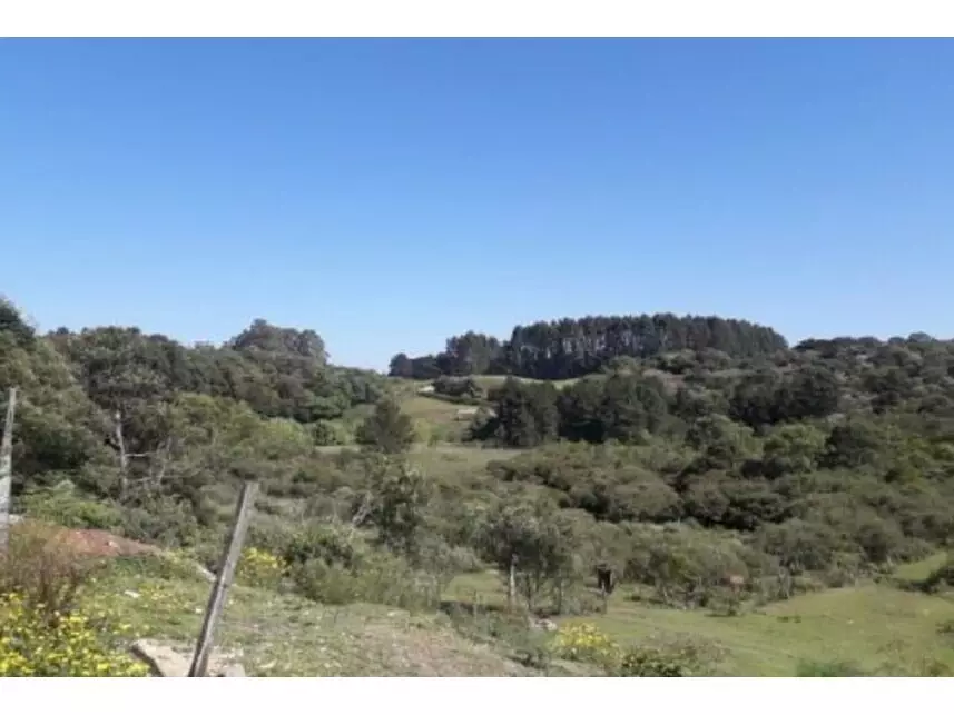 Terreno à venda em leilão - leilão extrajudicial - Caxias do Sul RS - lance mínimo R$ 132.000