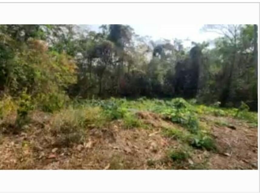 Imagem 3 do Leilão de Terreno - Loteamento Residencial Fazenda São José - Valinhos/SP