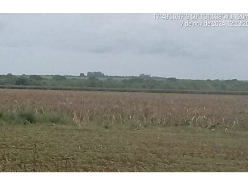 Imagem 10 do Leilão de Área Rural - Zona Rural - Goiatuba/GO