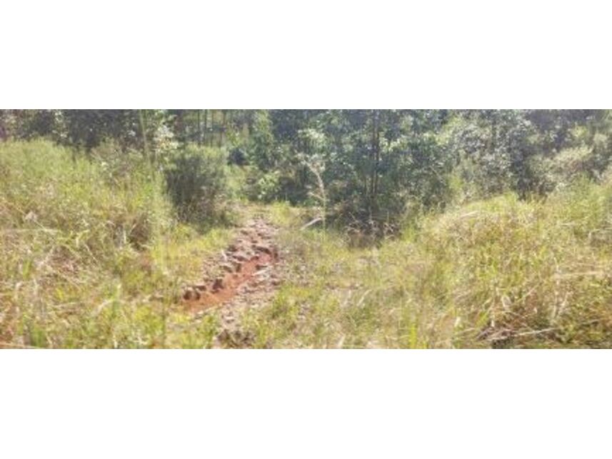 Imagem 3 do Leilão de Área Rural - Zona Rural - Vila Maria/RS