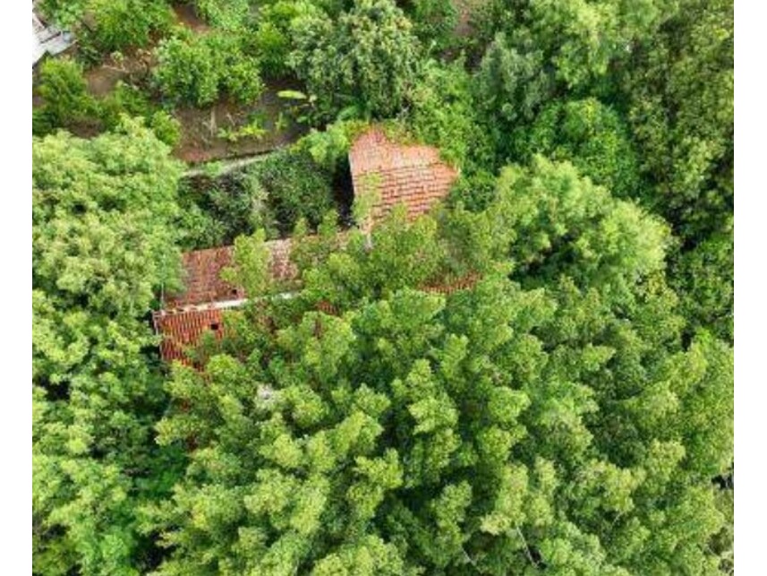 Imagem 3 do Leilão de Casa - Parque Santa Cecília - Piracicaba/SP