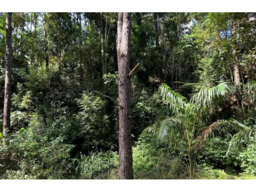 Imagem 12 do Leilão de Terreno - Itaqui - Itapevi/SP