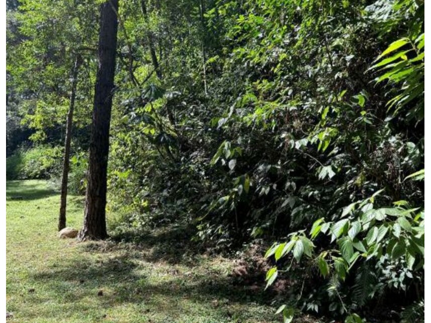 Imagem 3 do Leilão de Terreno - Itaqui - Itapevi/SP