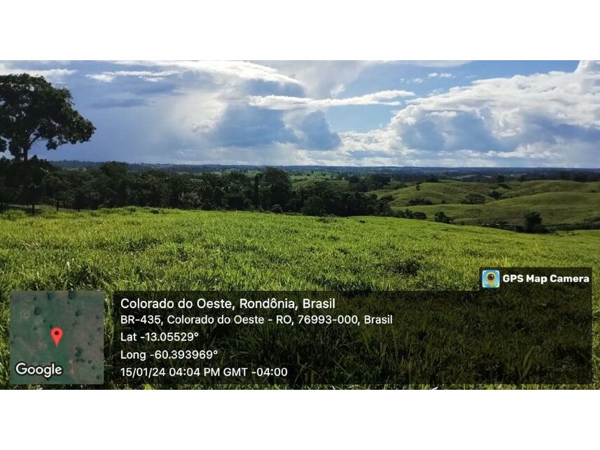 Imagem 10 do Leilão de Sítio - Zona Rural - Colorado do Oeste/RO