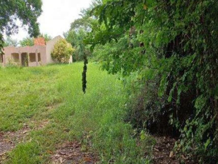 Imagem 2 do Leilão de Terreno c/benfeitorias - Bairro das Palmeiras - Ribeirão Preto/SP