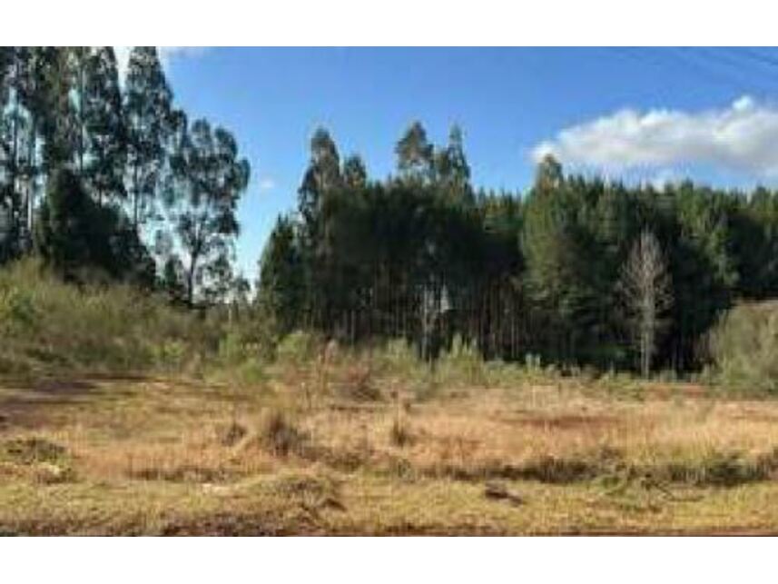 Imagem 5 do Leilão de Terreno - Santo Antônio - Santa Maria do Oeste/PR