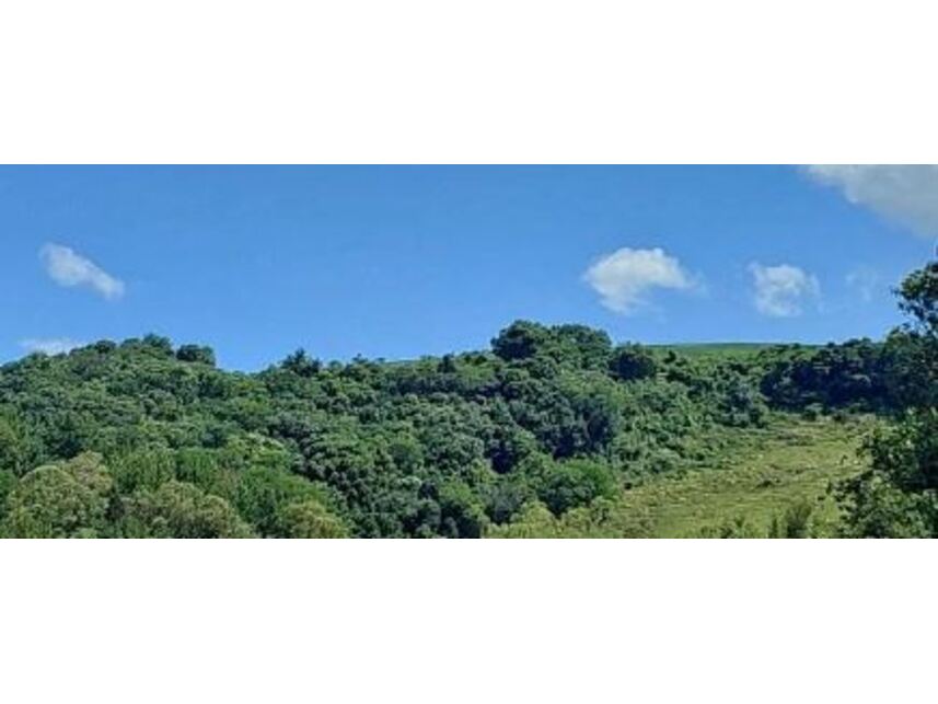 Imagem 4 do Leilão de Área Rural - Zona Rural - Vila Maria/RS